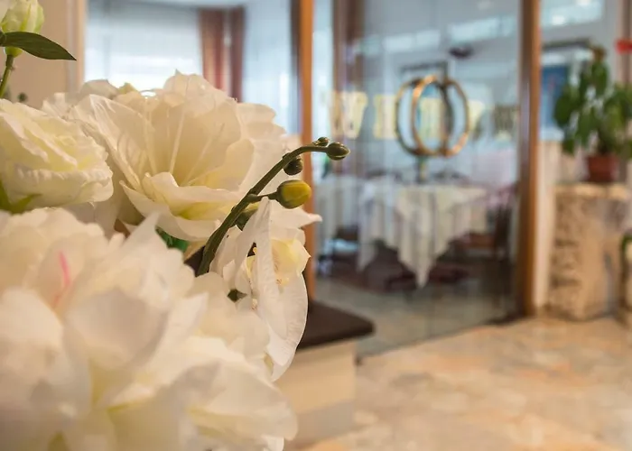 酒店 威斯安德酒店